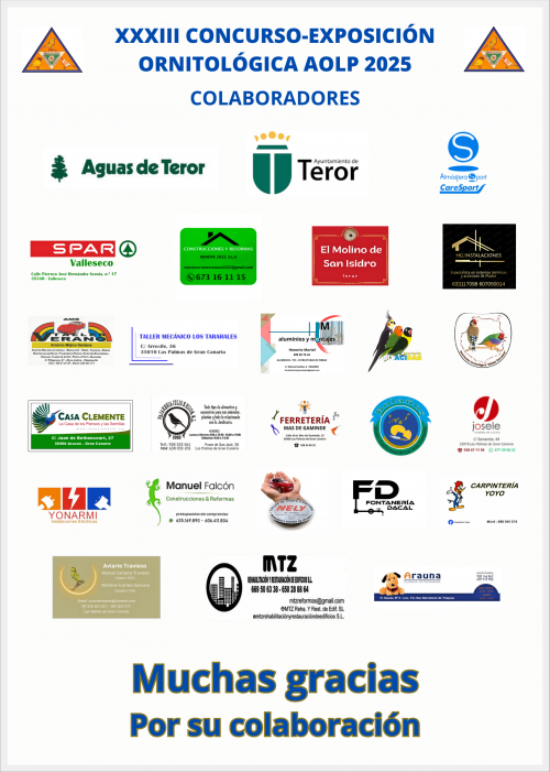 467964919_122125850906506375_6525730463593776872_n